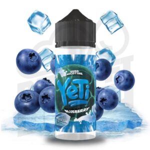 Blizzard Blueberry 100ml-Yeti