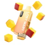 Lost Mary BM6000 Mango
